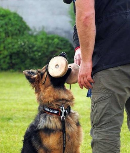 Dingo Gear K9 VYMENITEĽNÝ DREVENÝ KRK NA ÚSTUPY