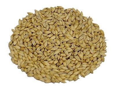 Slad Carahell Weyerman 0,5 kg mletý