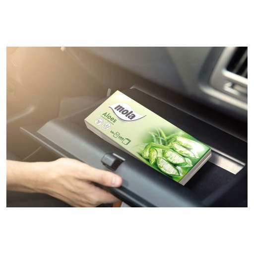 CHUS.HIG.ALOE VERA 10KS