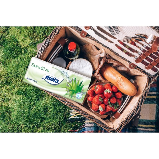 MOLA Sensitive Aloe Vera vreckovky 10 ks