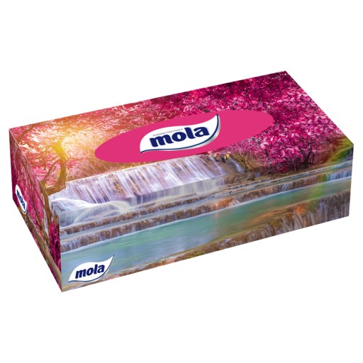 BIG BOX KOZMETICKÝ ŠÁL 120ST