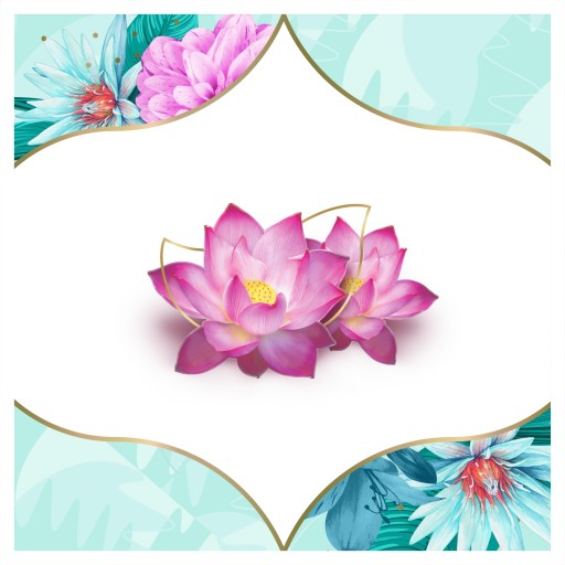 Diskrétne slipové vložky Waterlily Multiform 20 kusov