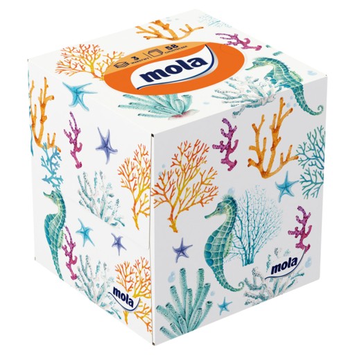NÁMESTIE CHUS.HIG.BOX. 58SZ