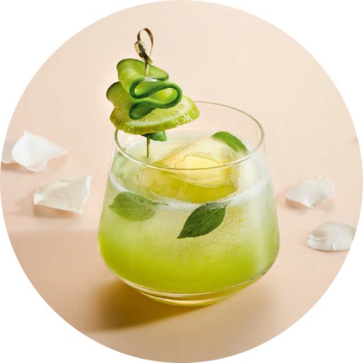 SodaStream Lipton Green Tea sirup koncentrát Zelený čaj 440ml