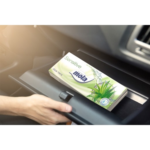 Mola Jemnosť aloe Hygienické obrúsky 10 x 10 kusov