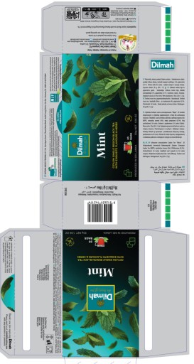 DILMAH 20tb Mäta