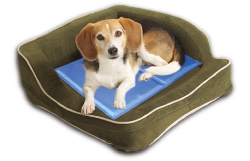 CHLADIACA PODLOŽKA, PESELKA PRE PSA A MAČKU, 40cm x 30cm