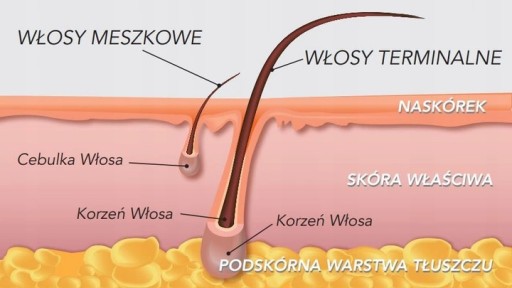 TVRDÝ VOSK NA DEPILÁCIU citlivých KORALOVÝCH špachtlí