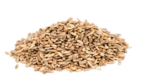 Skworc zrno ostropestreca mariánskeho 100 g