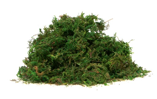 UMELÝ MECH, betlehem, veľkonočná dekorácia, tráva, 40 gramov