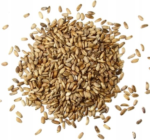 Ostropestrec semiačka ZDRAVOTNÁ KUCHYŇA 1kg
