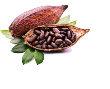 Nízkotučný kakaový prášok 10% Wawel 150g
