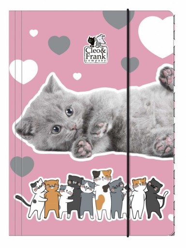 A4 Derform zložka s gumičkou CLEO I FRANK cats x5