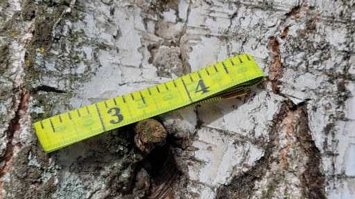 Krajčírsky centimeter Univerzálny meter Krajčírsky potrebný meter 150 cm