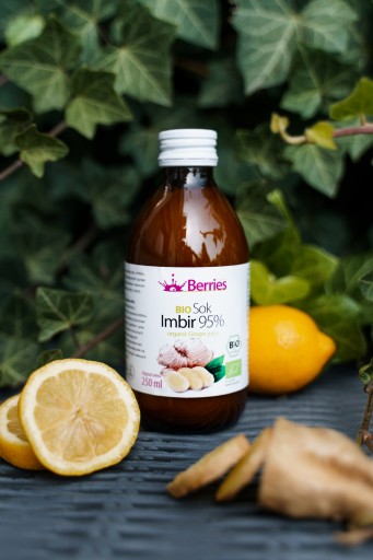 BIO zázvorová šťava 95% BIO zázvorová šťava 250ml