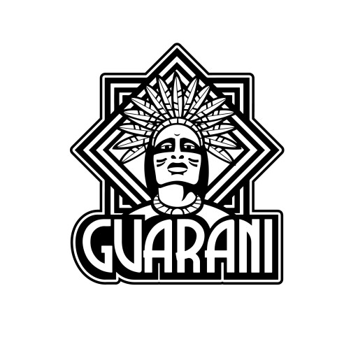 Yerba Mate Guarani Elaborada Con Palo 0,5kg 500g