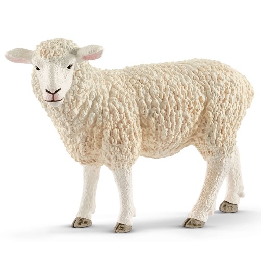 Ovca Schleich 13882