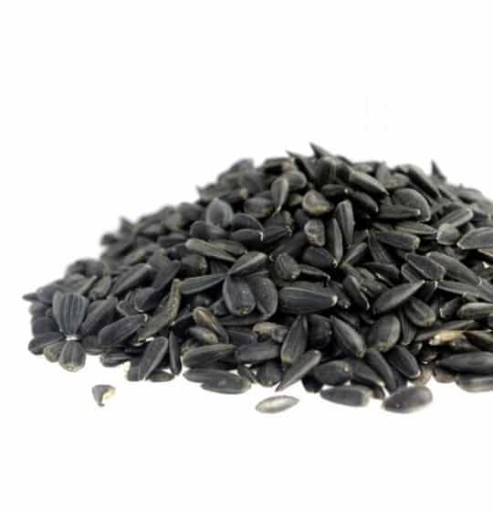 SLNEČNICOVÉ SEMIENKA ČIERNA POTRAVINY VTÁKY HLODAVCE 1KG