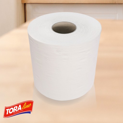 CELULÓZOVÉ PAPIEROVÉ Utierky 2W50MB cena za 2ks.