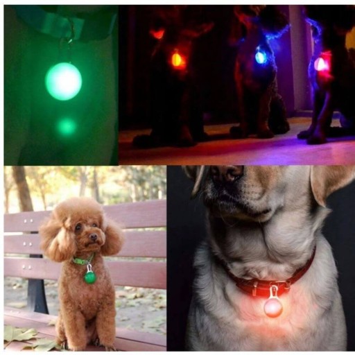 LED svetelný prívesok na obojok pre psa
