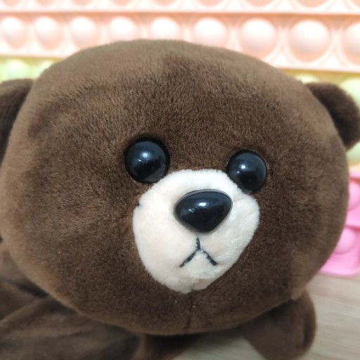 Školský peračník medvedík miso plyšový medvedík maskot školská hračka