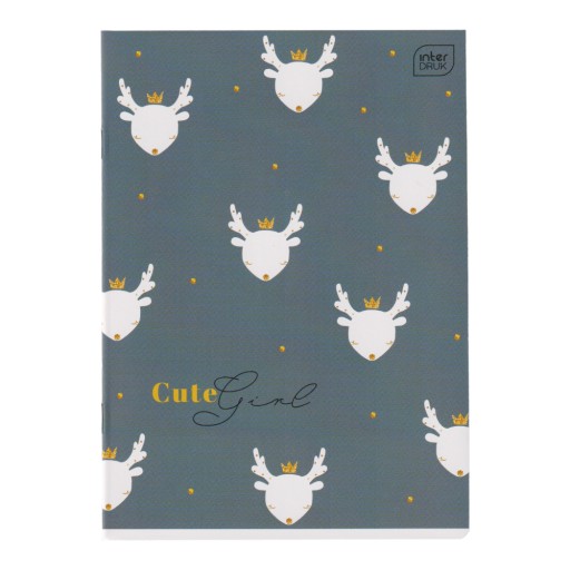 NOTEBOOK A5 16K FAREBNÉ TRENDY GIRLS LINE INTERPRINT