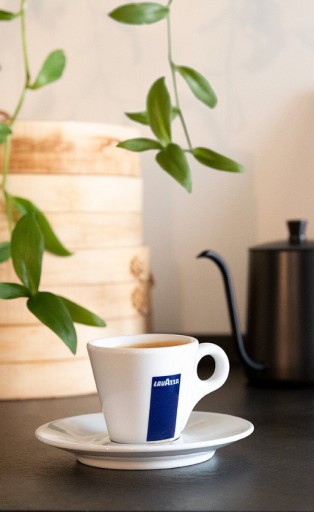 Lavazza Crema E Gusta - Mletá káva 250g