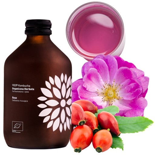 VIGO KOMBUCHA RUŽA 330ml RUŽOVÝ NÁPOJ