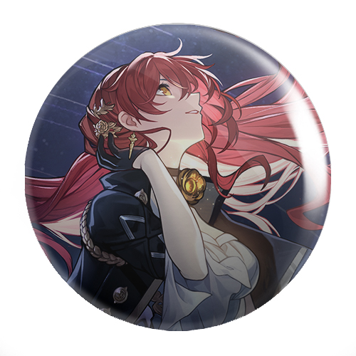 Honkai Star Rail Pins - Himeko NA VÝBER
