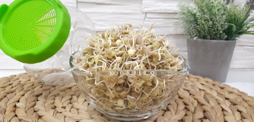 ZELENÁ ŠOŠOVICA - Semená na klíčky 100g