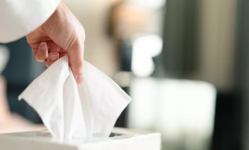 CELULÓZOVÉ HYGIENICKÉ Utierky, DVOJVRSTVOVÉ ZAMATOVÉ PROFESIONÁLNE