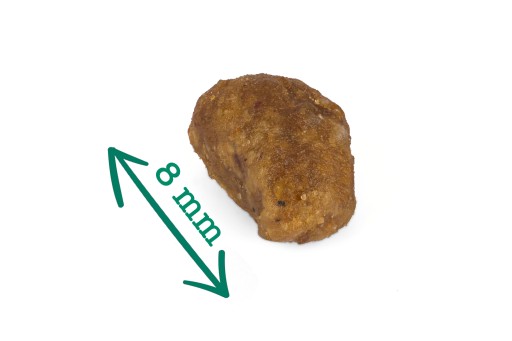 DR.TREND PREMIUM vzorka suchého krmiva pre mačiatka s rybami 50 g