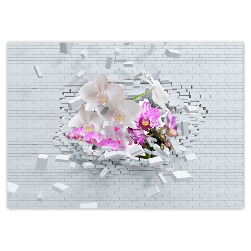 Samolepky A5 LEVEL Orchidea do steny