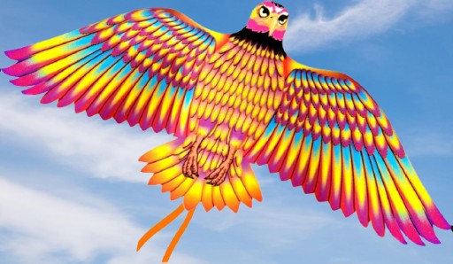KITE BIRD 4050