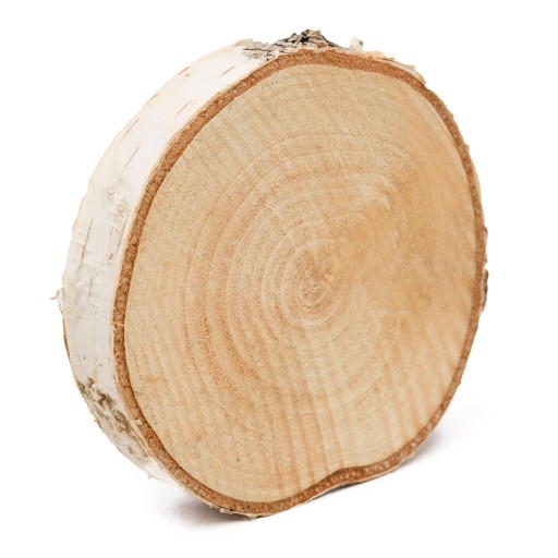 Drevený plátok s priemerom 12-15 cm, hrúbka 2 cm - 1 ks