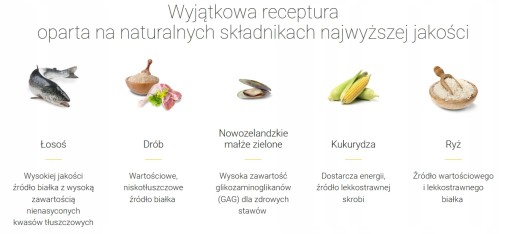 JOSERA FESTIVAL suché krmivo pre vyberavých psov, losos, kuracie mäso, mušle, 900g