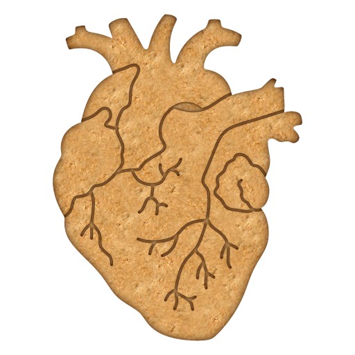 MOLDER Krájač na perník MEDICÍNA Kardiológ Ľudské ANATOMICKÉ SRDCE