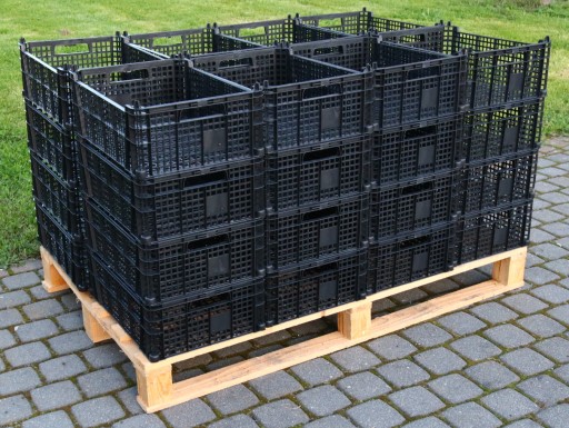 PLASTOVÁ BOX Nádoba na ovocie Warz 40x30x15