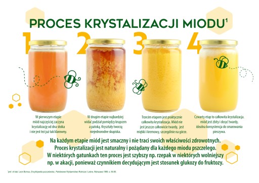 POĽSKÝ repkový nektárový med Mazurskie Miody 400g
