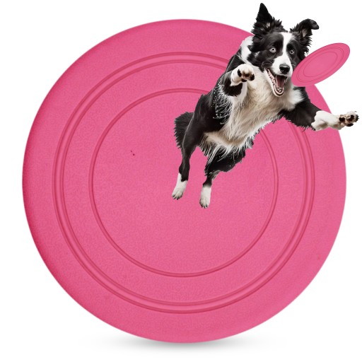 FRISBEE hračka lietajúca DISC RETREAT PLATE PRE PSA FARBY