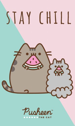 Uterák PUSHEEN CAT na ruky do škôlky 30x50