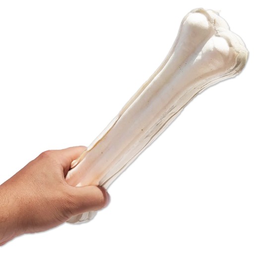 KOST pre veľkého psa, šteniatko, žuvačka, hovädzina, biela, 21 cm, LISOVANÁ