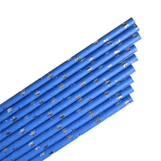 BLUE SILVER STARS PAPIEROVÉ SLIMKY SET 12