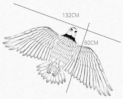 KITE BIRD 4050
