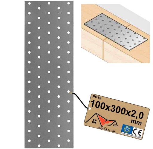 PERFOROVANÝ PLACHT PLOCHÝ TESNENIE 100x300x2,0 mm