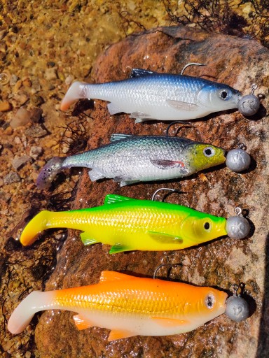 Savage Gear LB ROACH 10cm Zlatá rybka kopyto na zubáče a šťuky