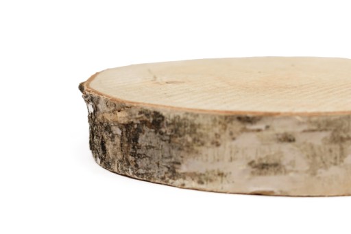 Plátok suchého dreva 16-20 cm, kvalitné neplesnivejúce brezové kotúče