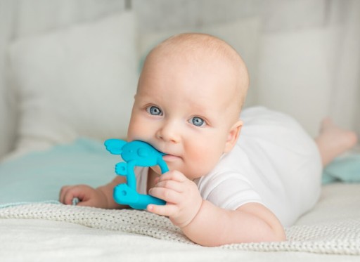Ortodontická masáž GiliGums KOALA Teether Calming pre prerezávanie zubov