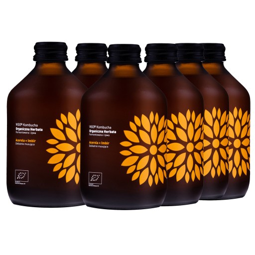 Kombucha Zázvor+Acerola BIO 330 ml