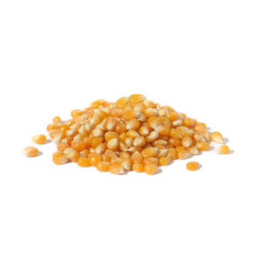 POPCORN 1 KG ZRNÁ KUKURICA NA POPING BEZ SOLI